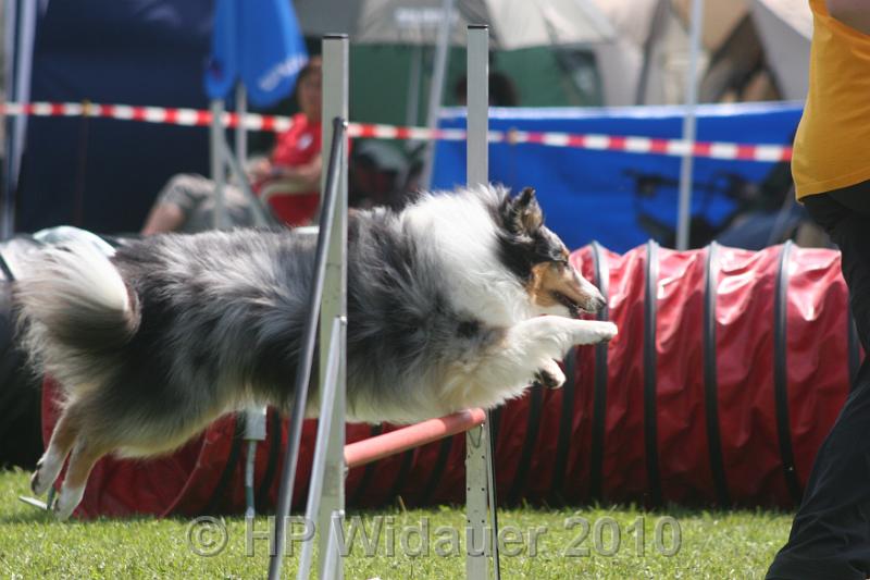 Haag2010 186.jpg